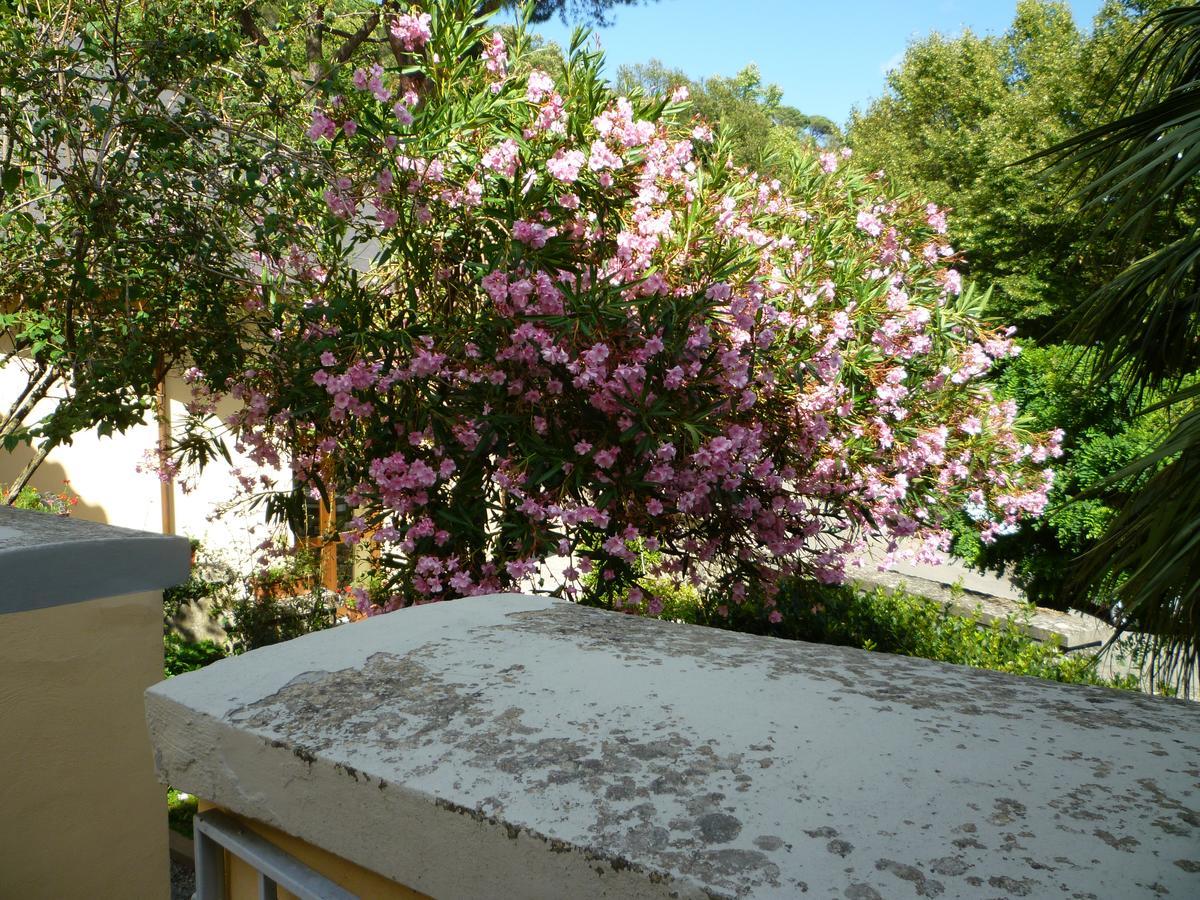 Villa Santa Margherita - B&B Κορτόνα Εξωτερικό φωτογραφία